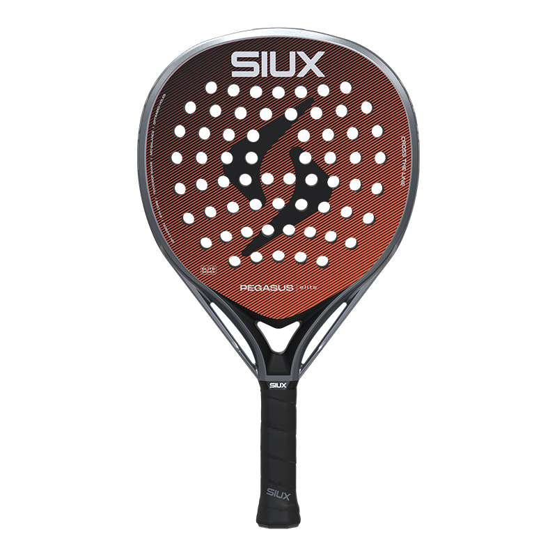 Siux Pegasus Elite 4 2026
