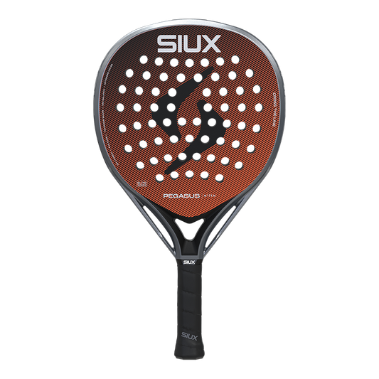 Siux Pegasus Elite 4 2026
