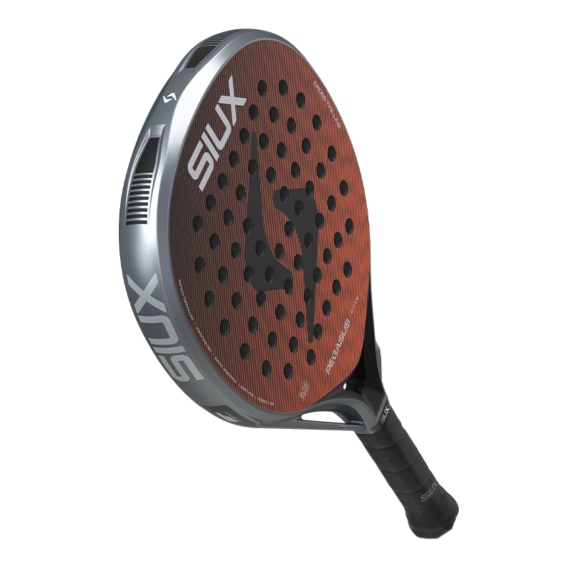 Siux Pegasus Elite 4 2026