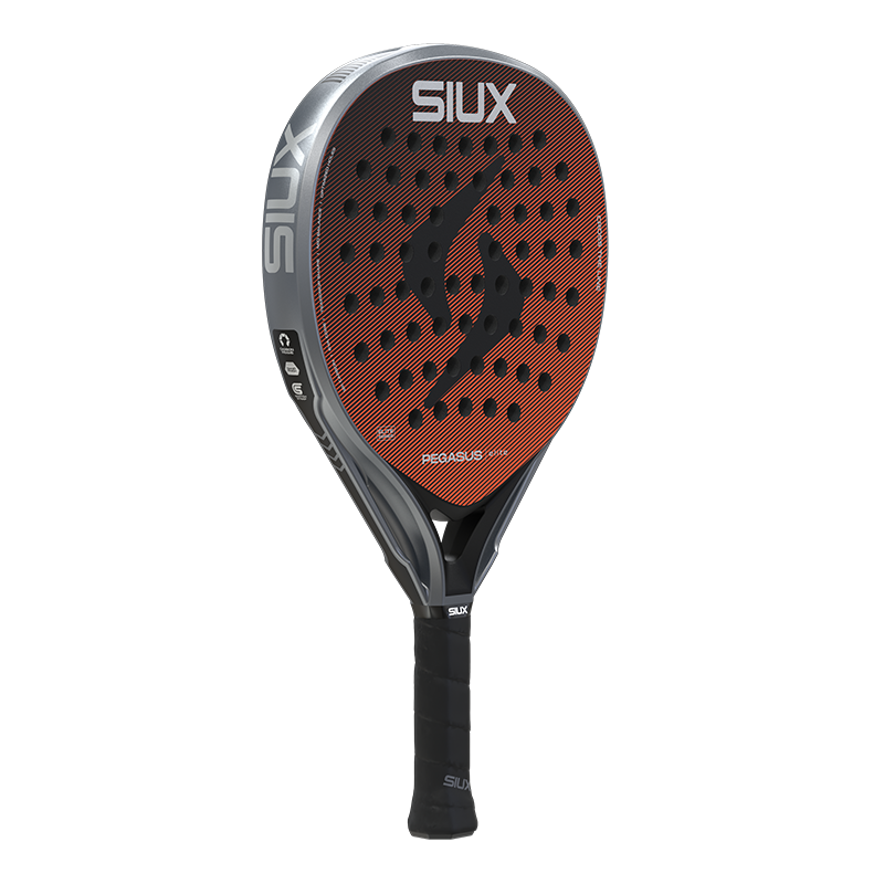 Siux Pegasus Elite 4 2026