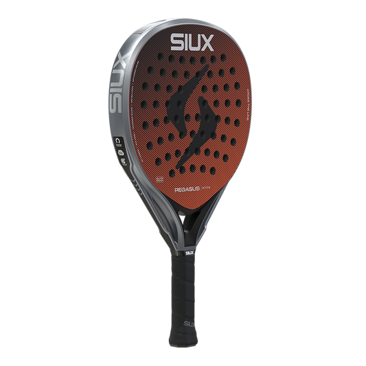 Siux Pegasus Elite 4 2026
