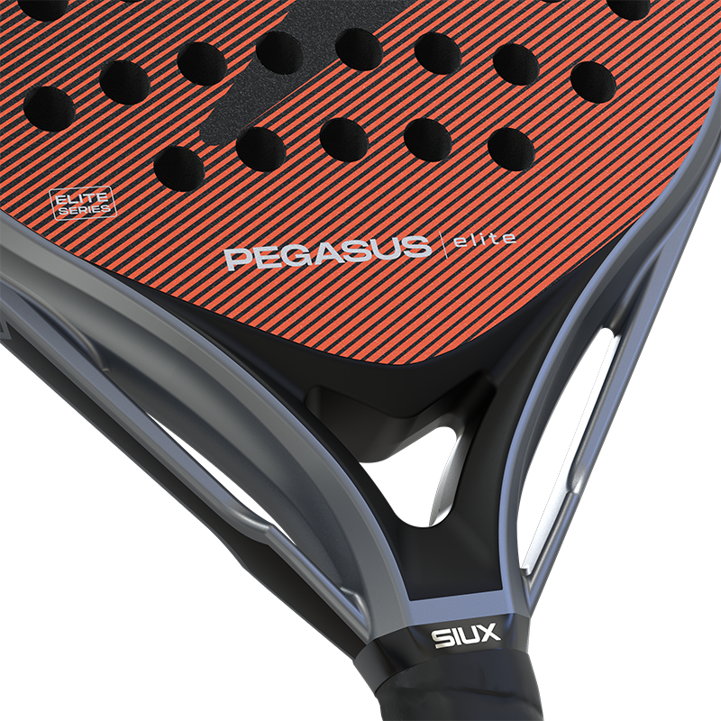 Siux Pegasus Elite 4 2026