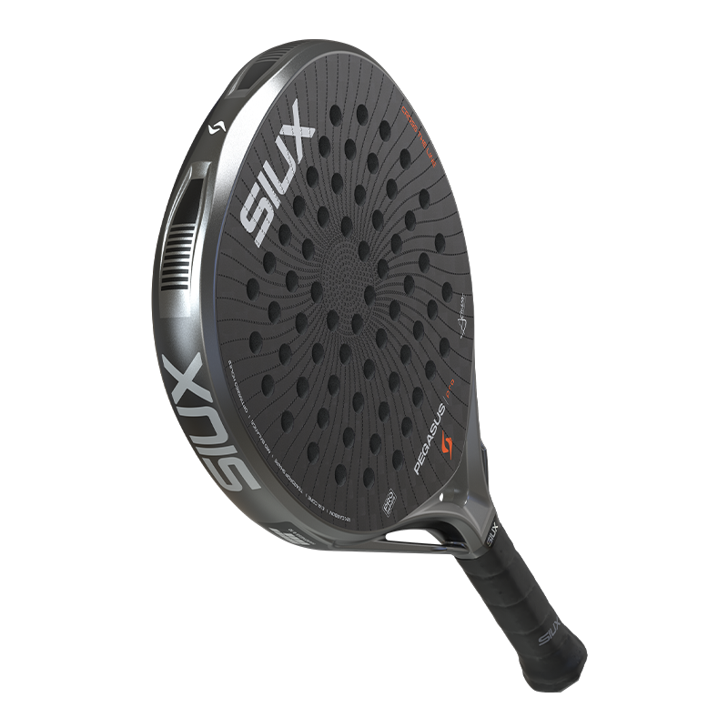 Siux Pegasus Pro 2026 Storm Grey