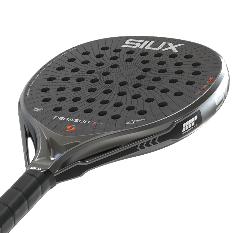 Siux Pegasus Pro 2026 Storm Grey