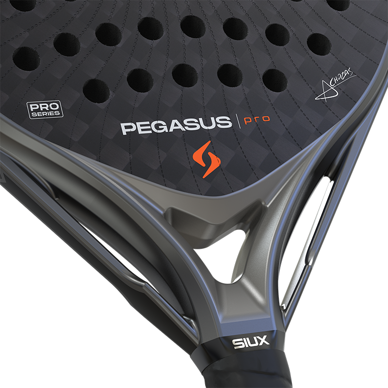 Siux Pegasus Pro 2026 Storm Grey