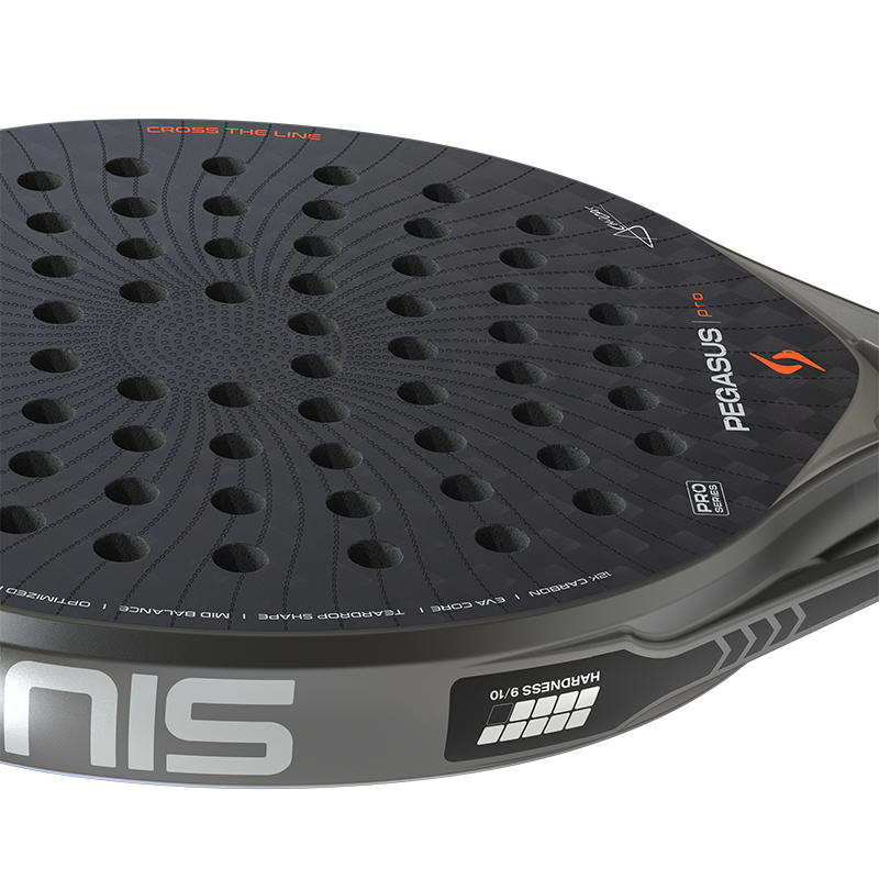 Siux Pegasus Pro 2026 Storm Grey