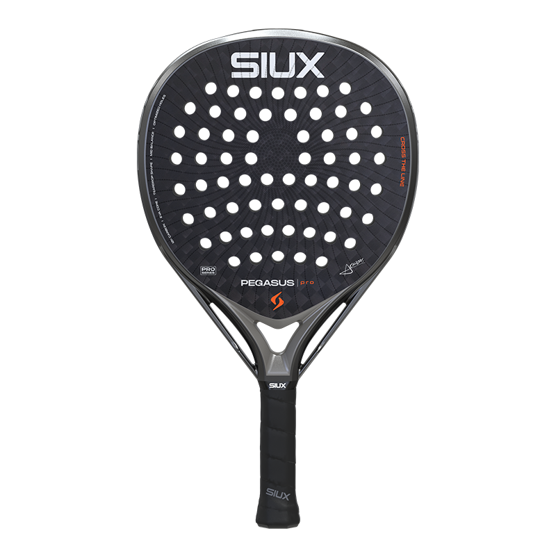 Siux Pegasus Pro 2026 Storm Grey