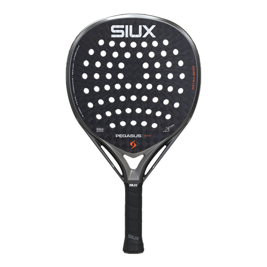 Siux Pegasus Pro 2026 Storm Grey
